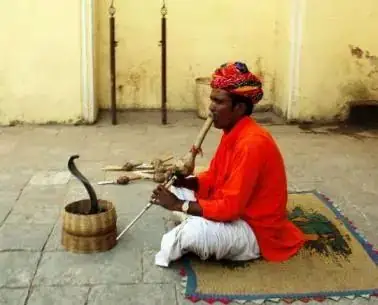 Taj Mahal Tour from Delhi 